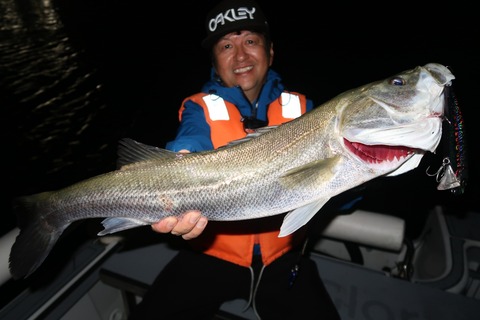 20201005003705_IMG_0417