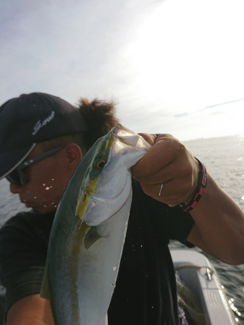 [画像:d8238d52-s.jpg]