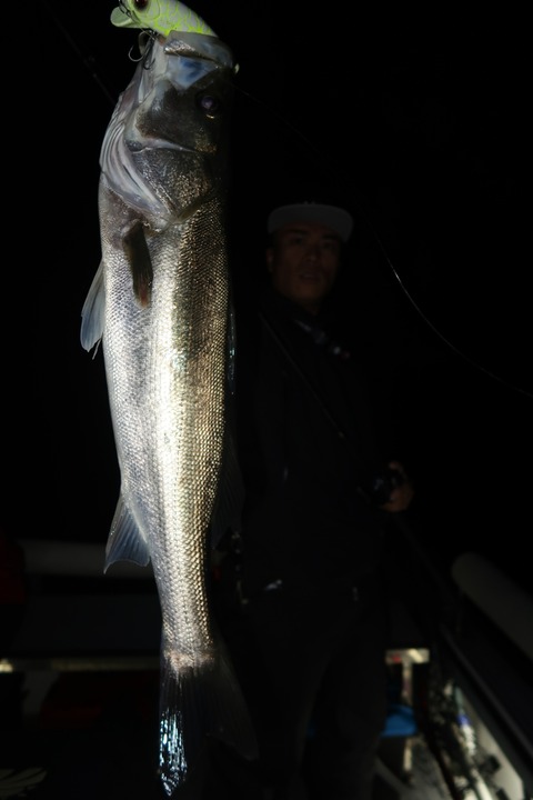 20221022215324_IMG_2642