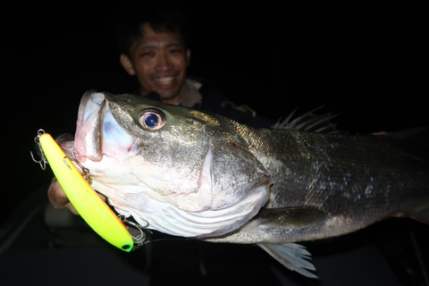 20221022220134_IMG_2648