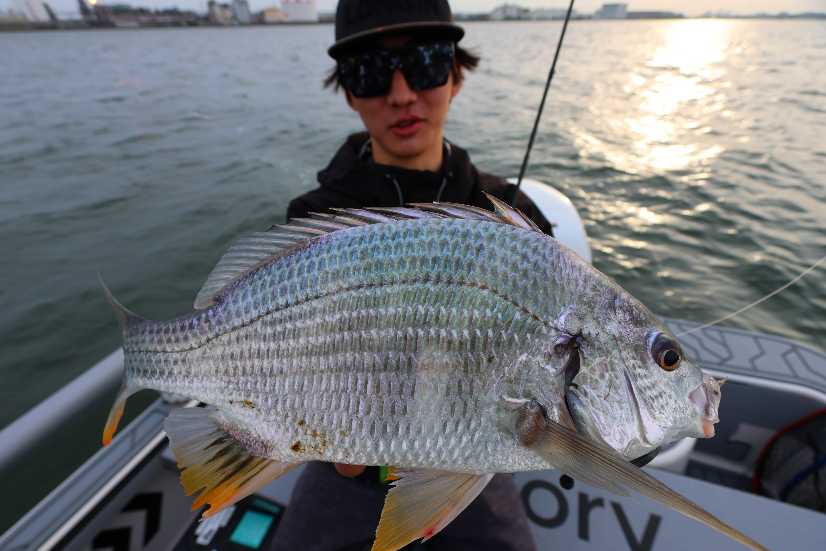 6月17日釣果情報！！ : TOKYOBAY FISHING GUIDE SERVICE Glory