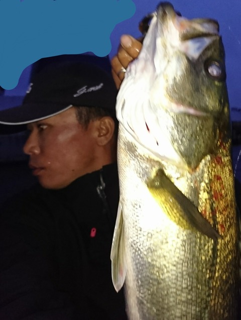 [画像:daaab6d9-s.jpg]