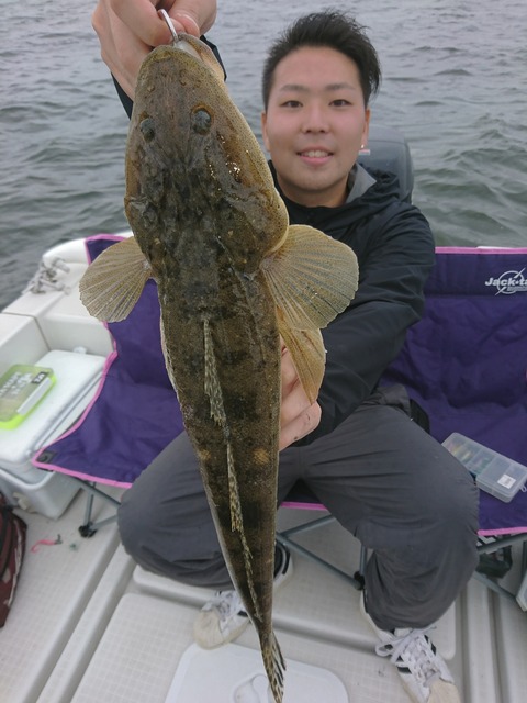 [画像:db16ac44-s.jpg]