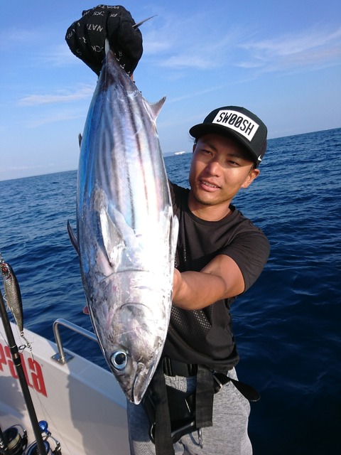 [画像:dbb11265-s.jpg]