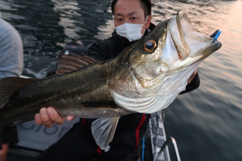 20200502050141_IMG_8668