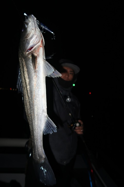 20200229212328_IMG_7814