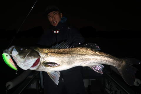 sketch-1668461546128