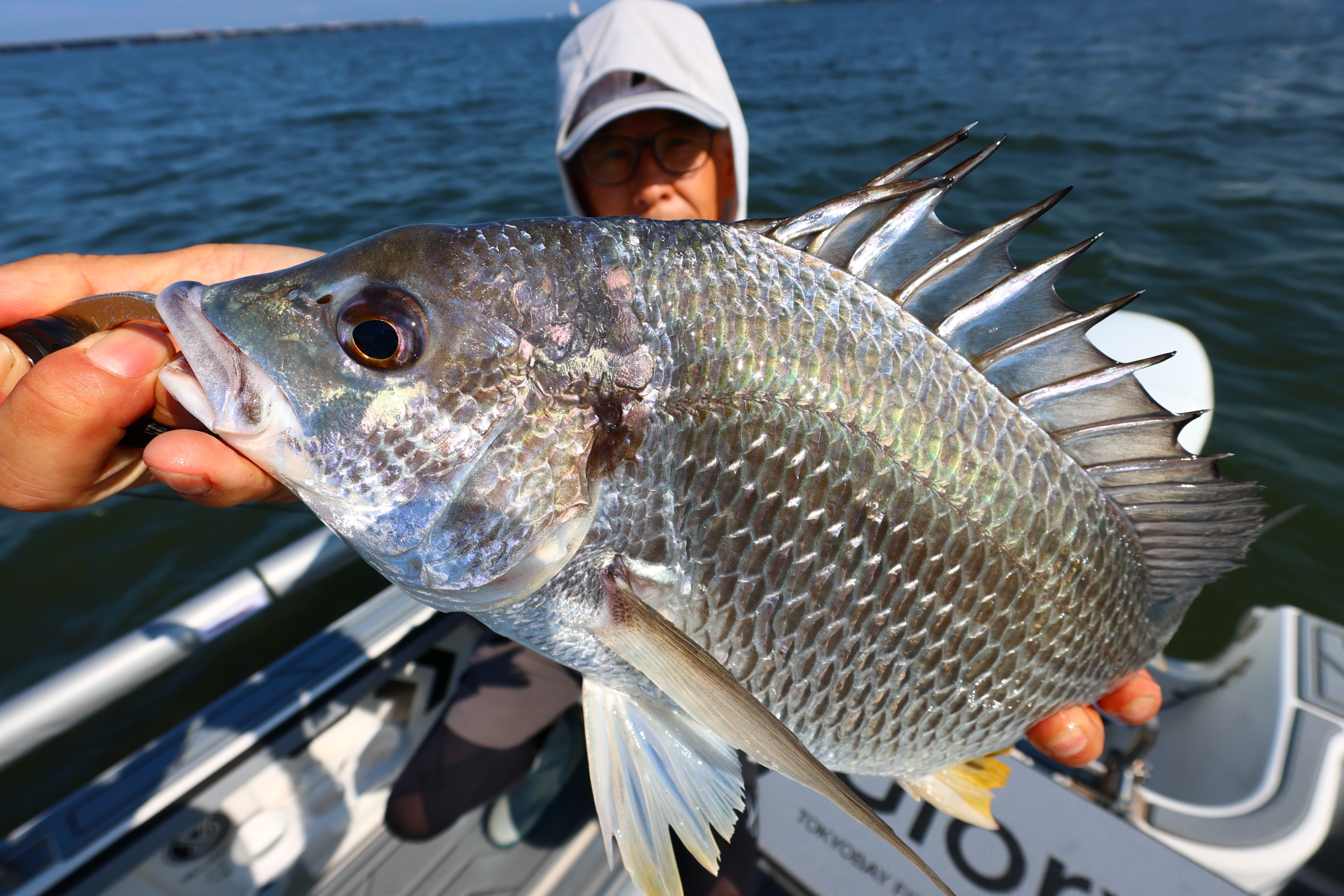 6月21日釣果情報！！ : TOKYOBAY FISHING GUIDE SERVICE Glory