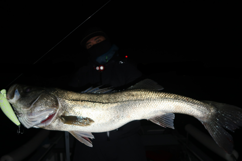 sketch-1671055035318