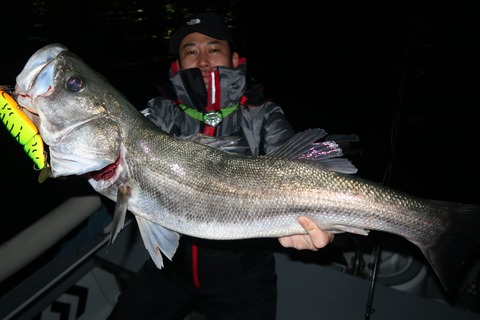 20221221000942_IMG_4230