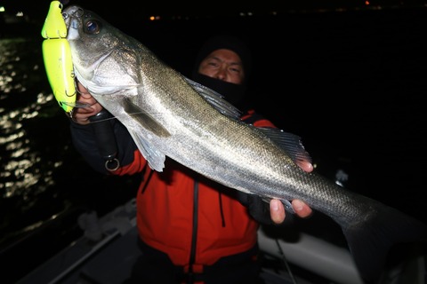 20200307203057_IMG_7884