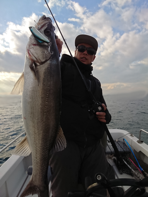 sketch-1544271944307