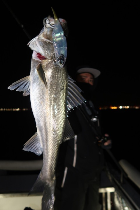 20220225211646_IMG_9833