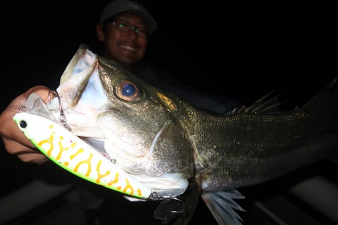 20231026234410_IMG_8218