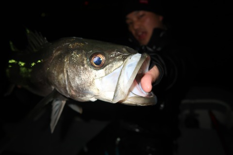 20200213225856_IMG_7507