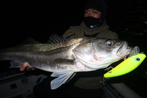 20221118200206_IMG_3395