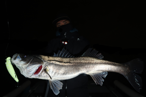 sketch-1671290370633