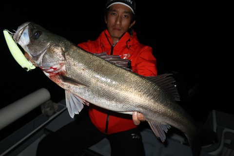 20201026194222_IMG_0883