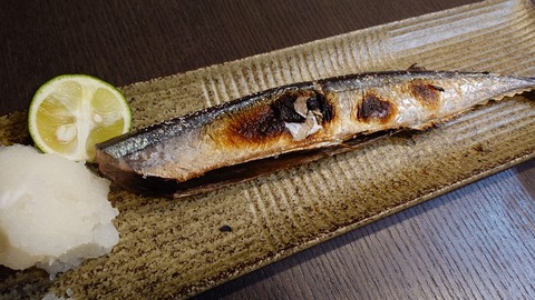 10月10日〜11日釣果情報！！