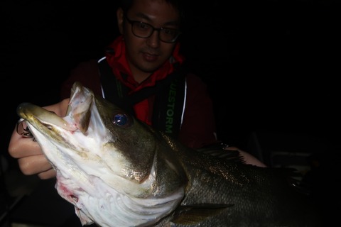 20200926191428_IMG_0243