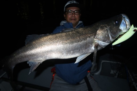 20231123202813_IMG_8701