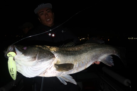 20231026195359_IMG_8199