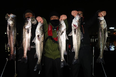 20200315010843_IMG_7982