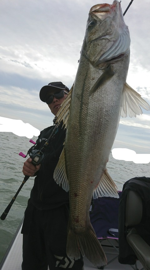 [画像:e1dd96a9-s.jpg]