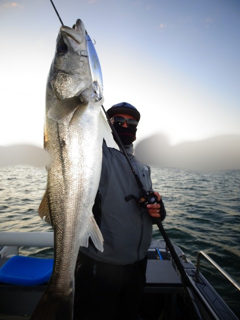 ぼかし丸_20191228_221642