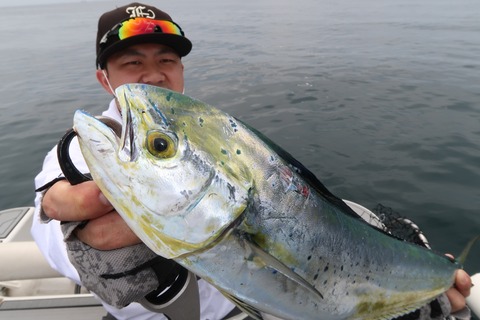 20200723111202_IMG_9578