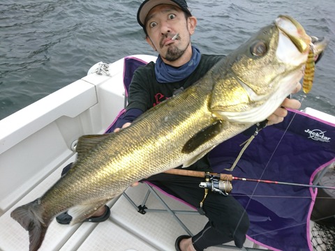 [画像:e25d6a7d-s.jpg]