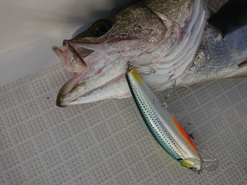 [画像:e2ae7e99-s.jpg]