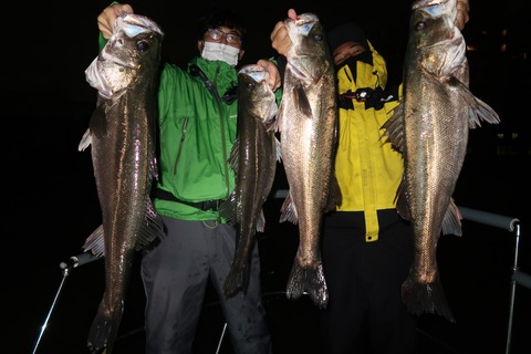 20201011212324_IMG_0521