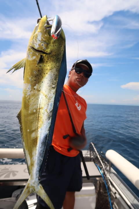 sketch-1598866060189