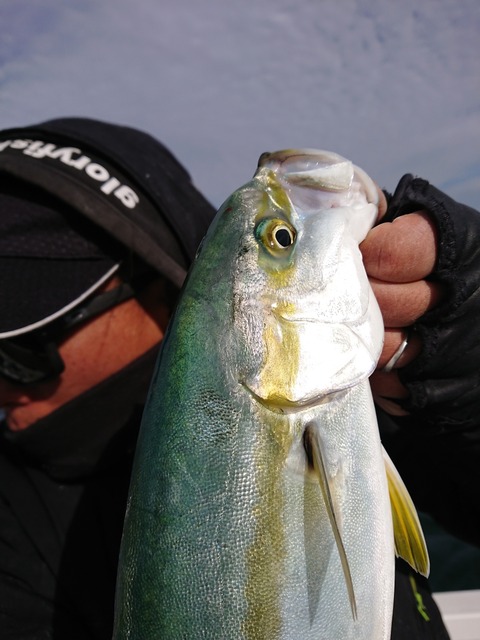 [画像:e410645a-s.jpg]