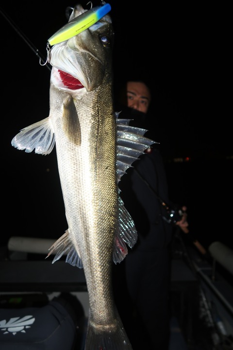 20240401215456_IMG_0807