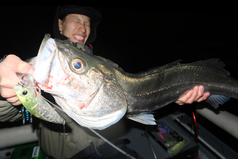 sketch-1764787822166