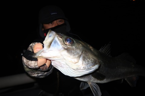 20200314232438_IMG_7977