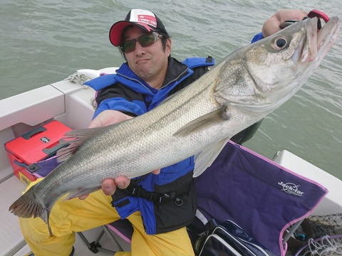 [画像:e476cbe6-s.jpg]