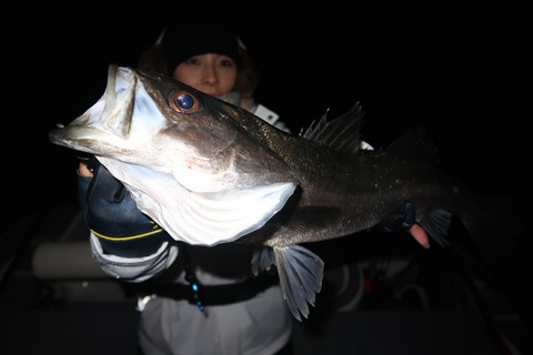 20200229214515_IMG_7821