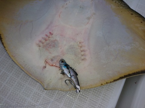 [画像:e5430717-s.jpg]