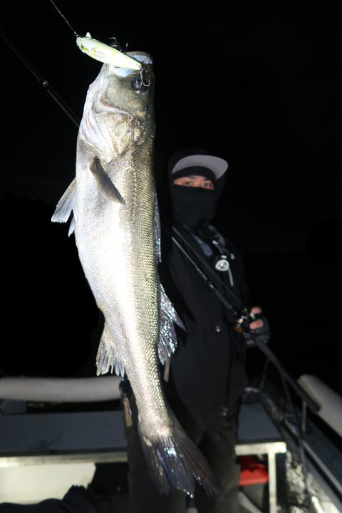 sketch-1645380489029