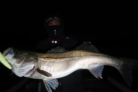 sketch-1703268962858