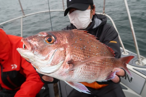 20200420110216_IMG_8499