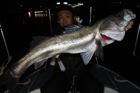 20200214010212_IMG_7515