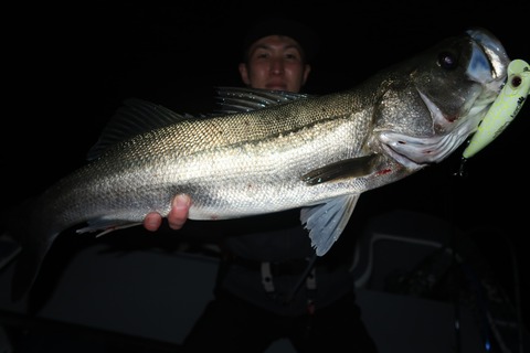 20231116201918_IMG_8519