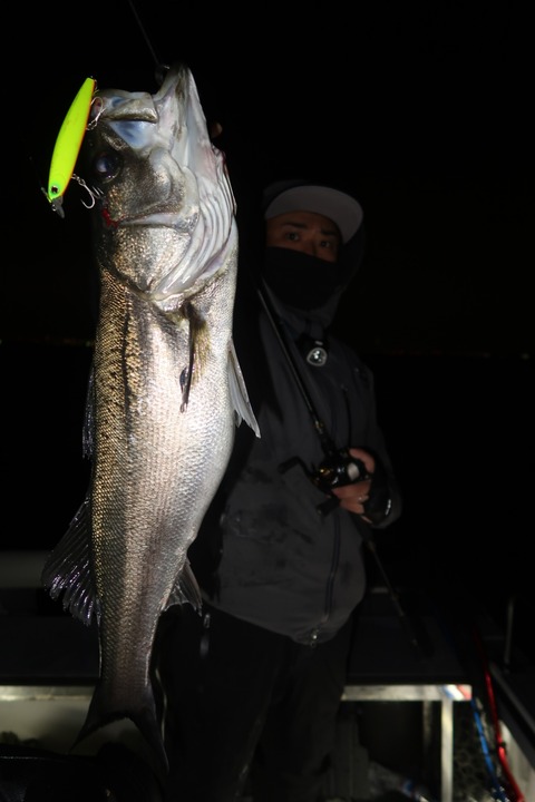 20200125225020_IMG_7267