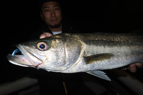 20231027235715_IMG_8236