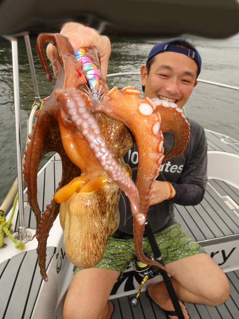 sketch-1564286930369