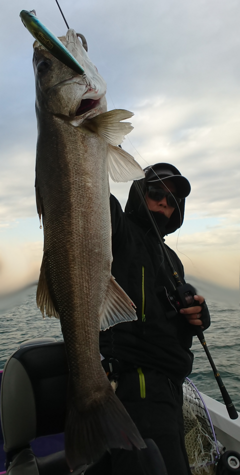 sketch-1513430723103